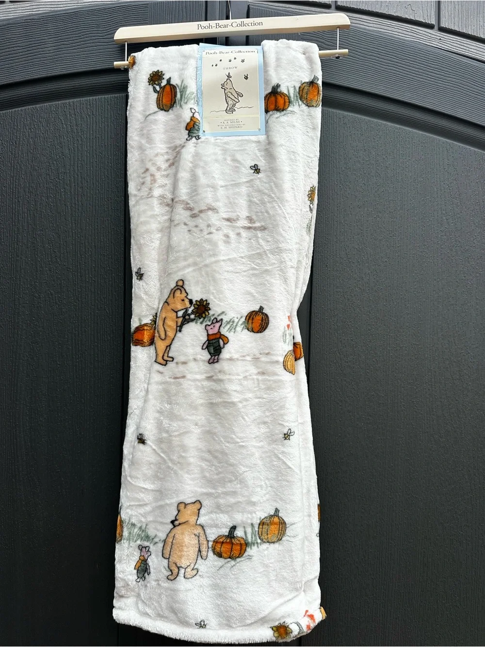 Classic Pooh Bear Collection Plush Throw Fall Pumpkin Blanket NWT
